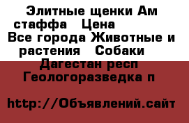 Элитные щенки Ам.стаффа › Цена ­ 25 000 - Все города Животные и растения » Собаки   . Дагестан респ.,Геологоразведка п.